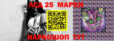 стафф Аргун