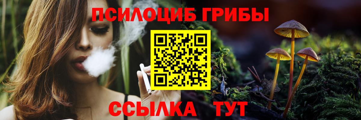 Астрахань  Псилоцибиновые грибы ЛСД  Вход с VPN 