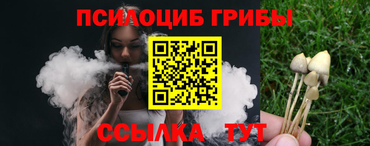 Галлюциногенные грибы Cubensis Астрахань